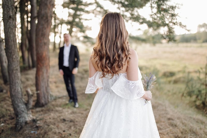 Bride's Wedding Dress